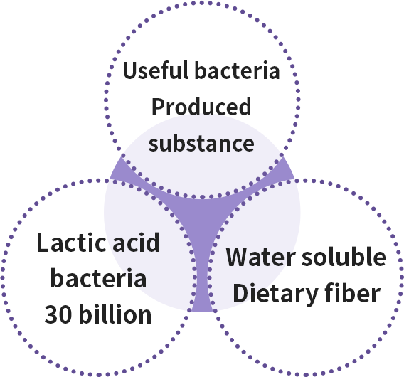 有用菌生産物質/乳酸菌300億個/水溶性食物繊維