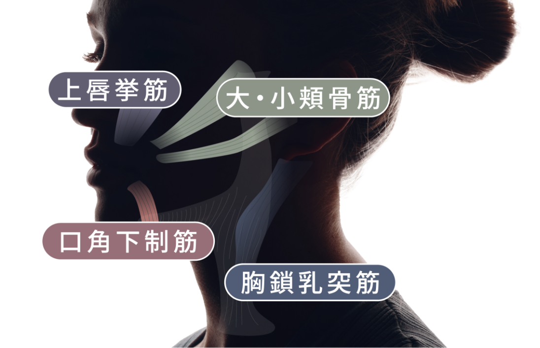 美しいフェスラインの要である笑顔筋™を3つの刺激でケアして、リフトケア※