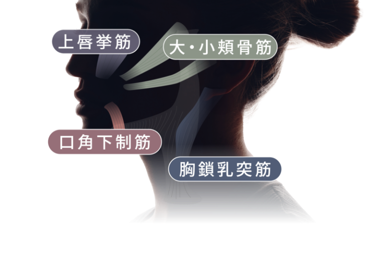 美しいフェスラインの要である笑顔筋™を3つの刺激でケアして、リフトケア※