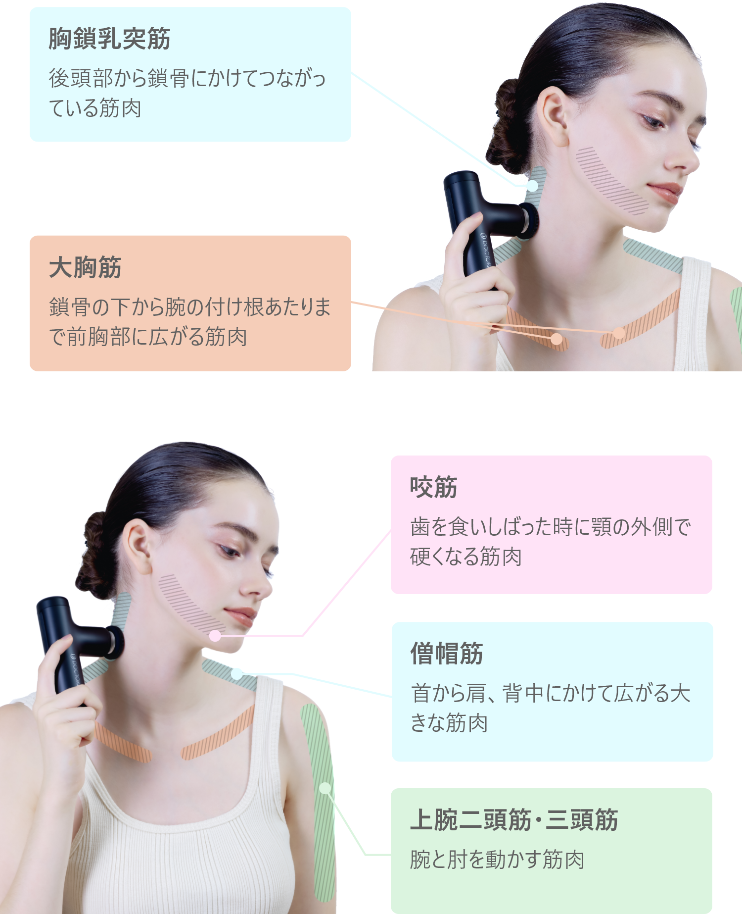 首美人は顔美人 HOW TO MAKE HYPER BEAUTY 人気整骨院院長が教える