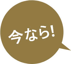 今なら！