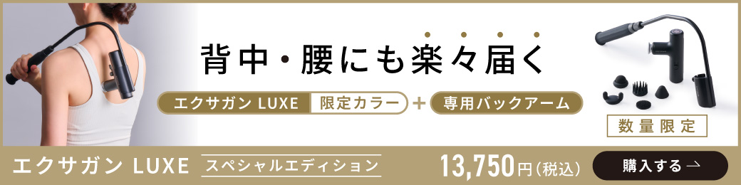  専用バックアーム付きの特別セット！​