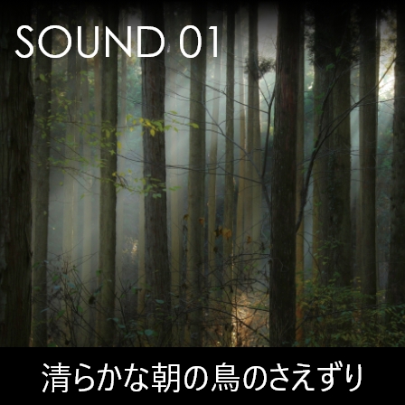 SOUND1 清らかな朝の鳥のさえずり
